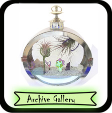 Archived Galleries of Terrariums